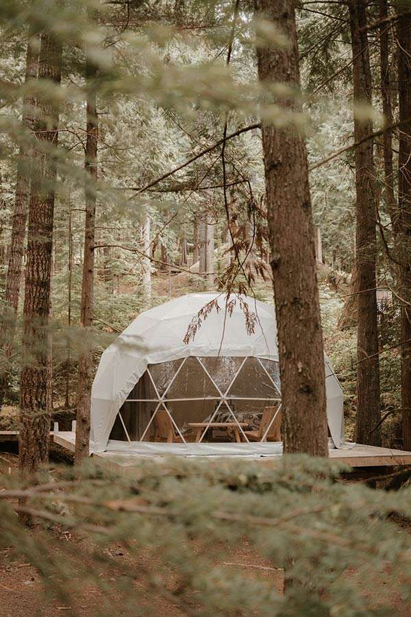 The Stay Wilder Domes