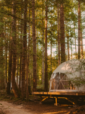Stay Wilder Eco-Glamping Dome