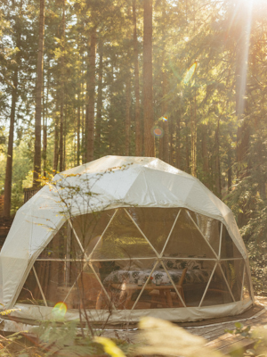 Your cozy dome in the forest